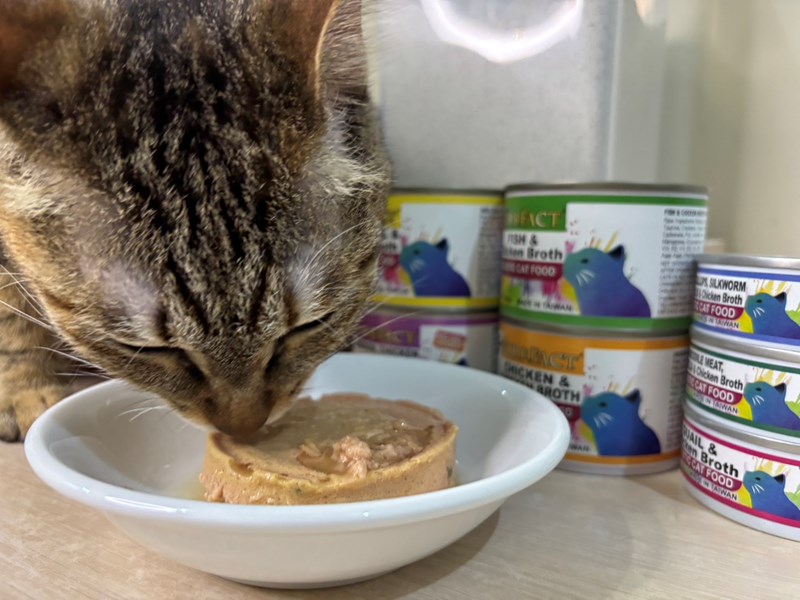 女人知己試用大隊,口碑行銷,部落客行銷,PURRFACT 波菲特貓用主食罐,主食罐,PURRFACT波菲特,貓主食罐,貓罐,PURRFACT波菲特貓用主食罐,魚肉蔓越莓主食罐,鮮嫩雞主食罐,鹿肉雞肉主食罐,牛肉鵪鶉貓主食罐,干貝蠶蛹配方,鱷魚肉白木耳配方,雞肉魚肉配方,安心鶉配方,評價,體驗,適口性佳,心得,成貓適用,高齡貓適用,質地是慕絲狀